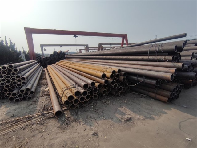 IMG_20230401_154139.jpg IMG_20230401_154139.jpg