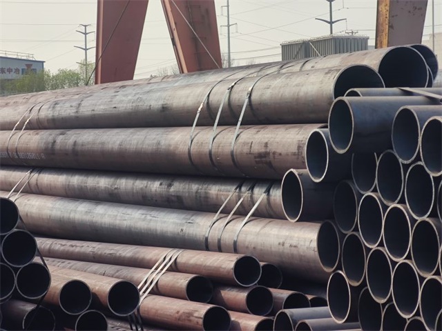 IMG_20230401_152906.jpg IMG_20230401_152906.jpg