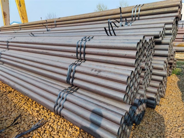 IMG_20230401_161400.jpg IMG_20230401_161400.jpg