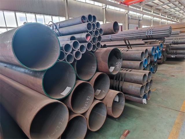 IMG_20230415_104012.jpg IMG_20230415_104012.jpg